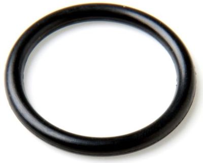 Varmepumpe G&J Union O-Ring  55mm                           
