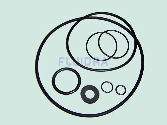 Hovedbilde Pumpe ASTRAL SENA, Pakningssett Komplett  0.75 - ...