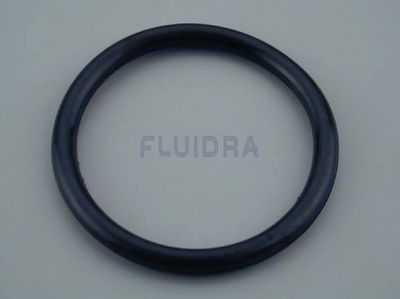 O-Ring for Undervannslys 300W/12V ASTRAL ø280               